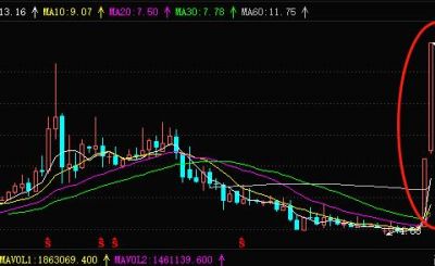 刚刚，散户“收割机”被立案了
