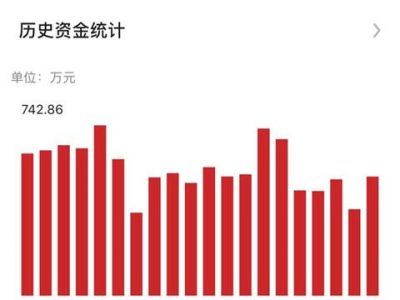 与明星经理人陈凯告别，张园林重新掌舵新力控股(02103)